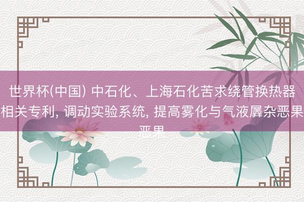 世界杯(中国) 中石化、上海石化苦求绕管换热器相关专利， 调动实验系统， 提高雾化与气液羼杂恶果