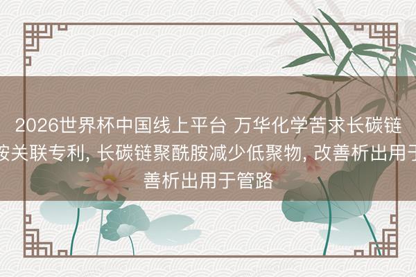 2026世界杯中国线上平台 万华化学苦求长碳链聚酰胺关联专利， 长碳链聚酰胺减少低聚物， 改善析出用于管路