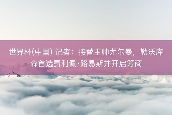 世界杯(中国) 记者：接替主帅尤尔曼，勒沃库森首选费利佩·路易斯并开启筹商
