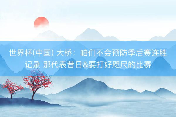 世界杯(中国) 大桥：咱们不会预防季后赛连胜记录 那代表昔日&要打好咫尺的比赛