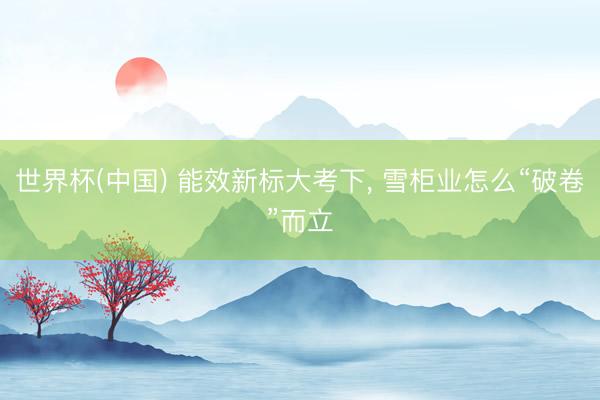 世界杯(中国) 能效新标大考下， 雪柜业怎么“破卷”而立