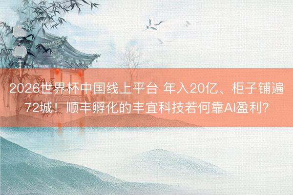 2026世界杯中国线上平台 年入20亿、柜子铺遍72城!顺丰孵化的丰宜科技若何靠AI盈利?