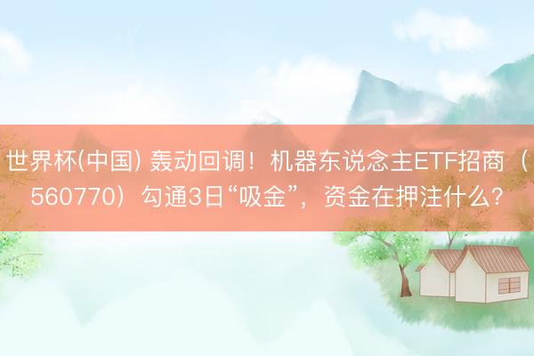 世界杯(中国) 轰动回调！机器东说念主ETF招商（560770）勾通3日“吸金”，资金在押注什么？