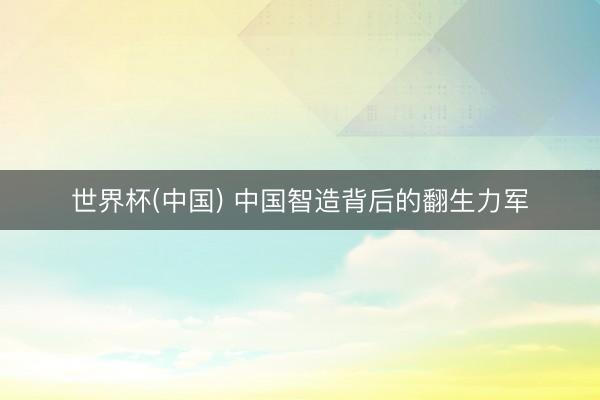 世界杯(中国) 中国智造背后的翻生力军