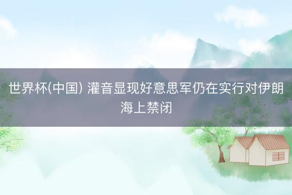 世界杯(中国) 灌音显现好意思军仍在实行对伊朗海上禁闭