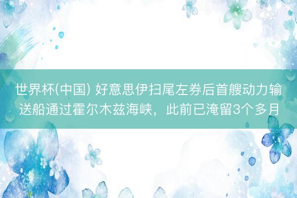 世界杯(中国) 好意思伊扫尾左券后首艘动力输送船通过霍尔木兹海峡，此前已淹留3个多月