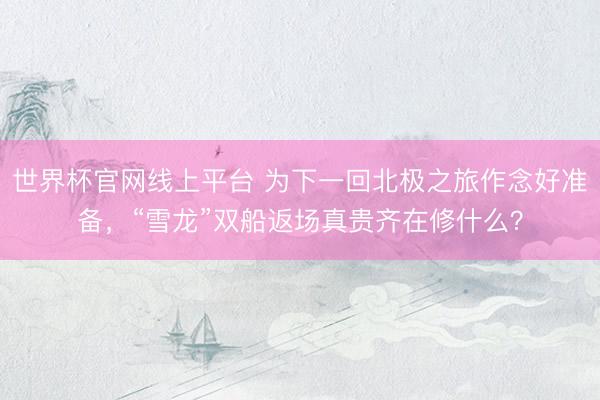 世界杯官网线上平台 为下一回北极之旅作念好准备，“雪龙”双船返场真贵齐在修什么？